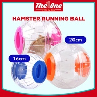 Hamster Running Ball 16cm 20cm Bola Mainan Hamster Exercise Roda Hamster Wheel 仓鼠跑球