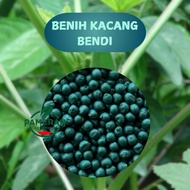 REPACK  INDIAN OCEAN F1 HYBRID OKRA 535 LECKAT / Benih Kacang Bendi / Benih Bendi