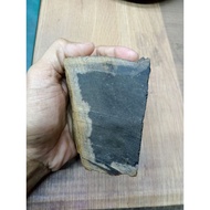 FOSSIL TERAS GEMUNGGAL JADI BATU