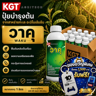 KGT ยกลัง! วาคุ สาหร่ายทะเล อะมิโนเข้มข้น ฟื้นต้น ลดความเครียด ปุ๋ยเหลว 1 ลัง (12 ลิตร)