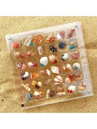 1入組磁性亞克力貝殼陳列盒/透明亞克力製的海螺和貝殼形狀收納盒,用於收集小配件或鑽石和寶石的收納/展示盒