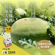 (水果)花蓮鳳林特級大西瓜16kg/顆/箱