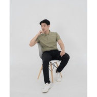 AKITA POLO SHIRT - Men's Polo SHIRT in Sage Green patr