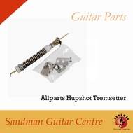 Allparts Hupshot Tremsetter (1 Unit)
