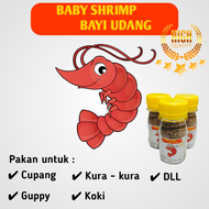 baby shrimp / bayi udang / mini shrimp / pakan udang makanan ikan baby shrimp / pakan cupang guppy /