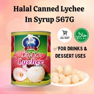 HALAL CANNED LYCHEE IN SYRUP 567G LAICI DALAM TIN DALAM SIRAP BUAH DALAM TIN