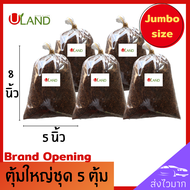 Uland ตุ้มตอนกิ่งผสมน้ำยาเร่งราก จัมโบ้ 5 ตุ้ม ถุงขนาด 5*8 นิ้ว พร้อมใช้ทันที ตุ้มตอนกิ่ง ตุ้มตอนกิ่