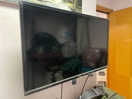 Tcl tv 電視 32吋