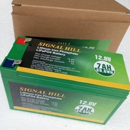 Lifepo4 12V 10Ah Lithium Ion Battery (Replacement for lead acid battery)/solar UPS alarm auto gate