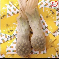 Women's Leather Tights Thin Super Tough Super Transparent Real Leg Tights Tights Women