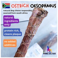 Ostrich Oesophagus - single ingredient, single protein dog chew, novel protein