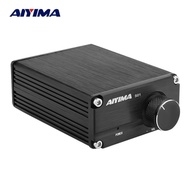 AIYIMA 100W TPA3116 Subwoofer Power Amplifier Audio Board Home