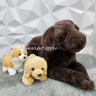 Quality Imported Dog, medium Dog, Octopus, Cute Dog