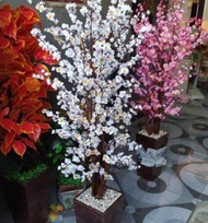 BUNGA SAKURA PLASTIK SUDUT RUANGAN TAMU