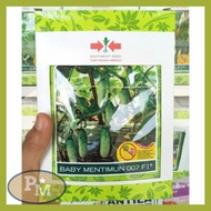 BENIH BIBIT BIJI TIMUN BABY MENTIMUN 007 F1 700 BIJI