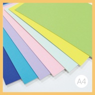 Paper Museum [A4] 860P 1.5mm Art Color Card 5pcs/Pack