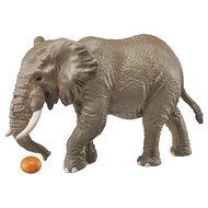 Takara Tomy Ania AS-02 African Elephant (with Orange), Animal Dinosaur Realistic Moving Figure Toy, 