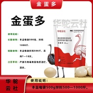 Golden Egg Ostrich Breeding Problem White Shell Eggs Preserved Eggs Thin Shell Eggs Soft Shell Eggs 