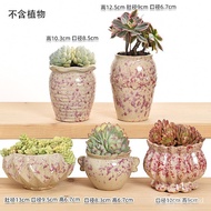 Succulent Flower Pot Ceramic Succulent Plant Stoneware Vintage Purple Sand Large and Small Caliber Simple Home