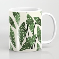 Maculata begonia Mug interior plant