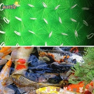 WATTLE Fish Tank Filter Brushes, Stainless Steel Long Pond Filter Brushes, Good Looking Green Box Aquarium Household Cleaning Brushes Pond