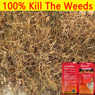 【2bags】10 times more effective at killing weeds racun rumput mati akar 88% glyphosate racun rumput p