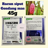 Racun siput 45g/Racun siput gondang mas