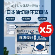 MITCH - 日本京都製藥油切纖體燃脂修身減肥暴汗貼 一盒5貼艾草燒脂消脂排毒瘦腰瘦肚腩爆汗貼 5貼