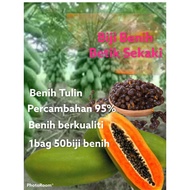 50biji # Biji Benih Betik Sekaki / Benih Berkualiti