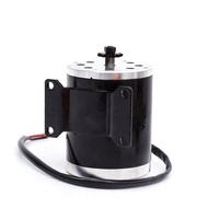 MY1020 750W DC 36V 48V ,brush motor electric tricycle , DC high speed brushed motor, Electric Scoote