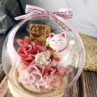 2F【招財貓水晶球】招財貓/開幕禮/小夜燈/招財小物/店面裝飾/