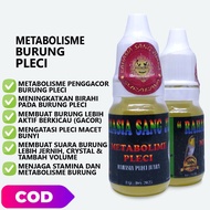 METABOLISME PLECI DOPING PLECI METABOLISME MENINGKATKAN BIRAHI BURUNG PLECI