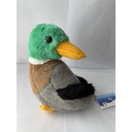 Duck, Eagle, Bird, Hawl stuffed toy, 鸭子，老鹰，鸟公仔玩偶