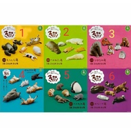 Panda's Cave zoozoozoo Dormant Animals 1~6 Capsules All 6 Models