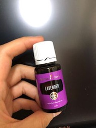 Lavender 精油