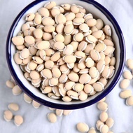 MOCEK BEAN LAB 500GM / 1KG+-