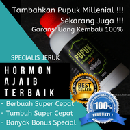 Super Ampuhl!! Pupuk Tanaman Jeruk Pupuk Untuk Jeruk Pupuk Pelebat Buah Jeruk Pupuk Boster Jeruk Pup