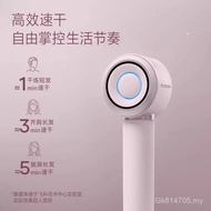 Negative Ion Big Wind] High-Speed Hair Care) FH6371 Gift Flyco [(Hair Dryer Flyco Mother's Day QCQI