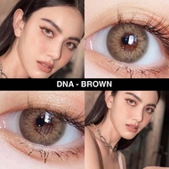 💢 สุดปัง มีค่าสายตา 💢 Wink Dna Gray Brown  สุดปัง คอนแทคเลนส์ รายเดือน มีอย แถมตลับฟรี เลนส์นิ่ม สวย