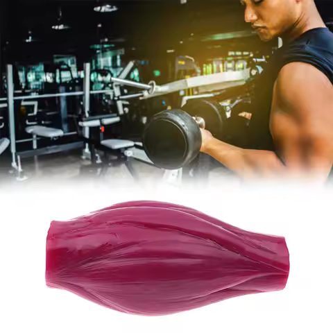 1lb Muscle to Keep Fit & Weight Loss Motivation Fat Model for Nutrition & Science Course & Fitness C