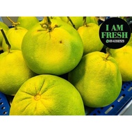 Tambun Pomelo - Limau Bali ( Sweet and Sweet&amp;Sour)- 100% Authentic