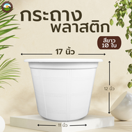 กระถางต้นไม้สวยๆ กะถางต้นไม้ กระถางต้นไม้พลาสติก กระถางขาว สีขาว 17 นิ้ว 10 ใบ