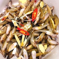 Song Da Anchovy Goby 300G