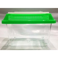 [Magic Crystal Garden Beetle] Square Breeding Pet Box (M)
