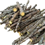 DRIED MAKABUHAY O PANYAWAN | MAKABUHAY CAPSULE