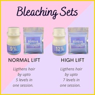 ⍣ ℏ ℘ Bremod Deep Platinum Purple Ash Bremod Ash Series Pimp my Hair color hair dye