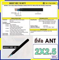 GOAL สายไฟ NYY สายไฟฝั่งดิน หุ้มฉนวน 3ชั้น เบอร์ 2x2.5 ความยาว 100เมตร สายไฟฝั่งดิน และใช้งานไฟฟ้า ม