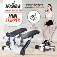 B&amp;G มินิสเต็ปเปอร์  Mini Stepper ออกกำลังขา เครื่องออกกำลังกายเดินขึ้นบันได เครื่องเหยียบออกกำลังกาย Side Stepper MSP100 ไม่มีจอและสาย One