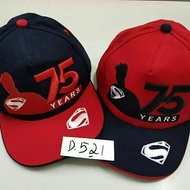 Superman Embroidered Children's Pet Hat 75 Years 3-8 Years