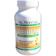 Vital B100 Vitamin B Complex Supplement 60 Capsules